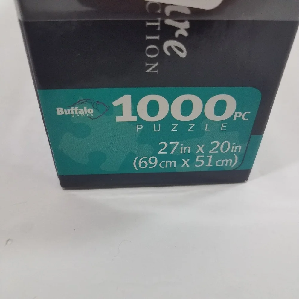 Buffalo Games 27 20